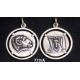 773/A Delphi coin Ram with dolphins