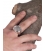 Apollo coin ring. Extra large, sterling silver