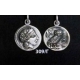 309/C Athens tetradrachm, Athena & Wise Owl